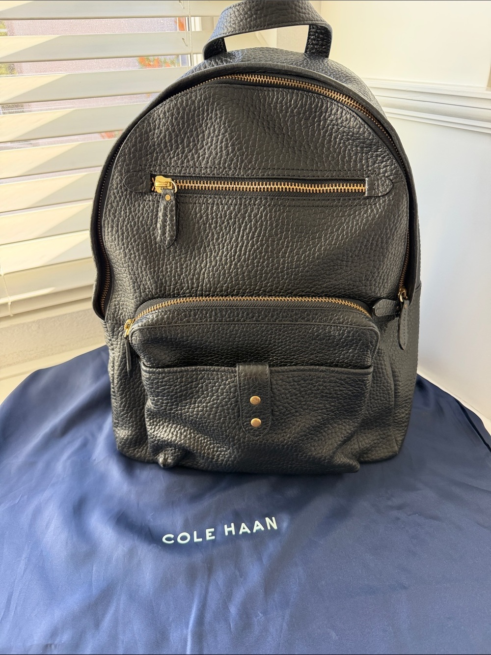 Cole Haan Black Pebbled Leather Gold-Zip Backpack
